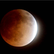 Ilustración para el artículo titulado El último eclipse lunar total (la luna de sangre), en imágenes